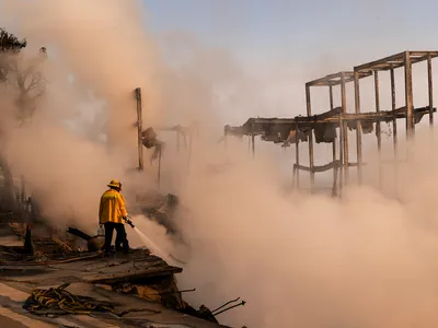 img of California's Converging Crises: Wildfires, Federal Opposition, and the Battle for Environmental Justice
