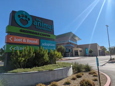 img of The Animal Foundation Crisis: A Case Study in Fiscal Mismanagement and Moral Failure