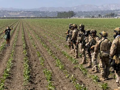 img of The Great American Betrayal: How Policy Choices Are Starving a Nation Amidst Plenty