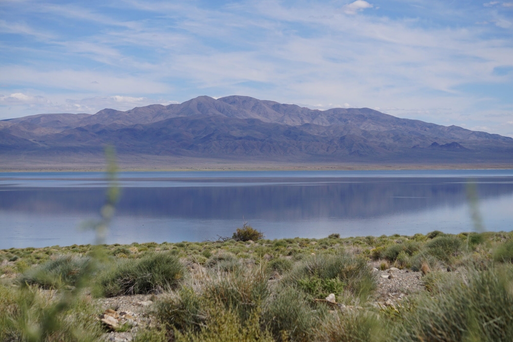 img of The Unmistakable Voice of the West: A Bipartisan Roar for Conservation