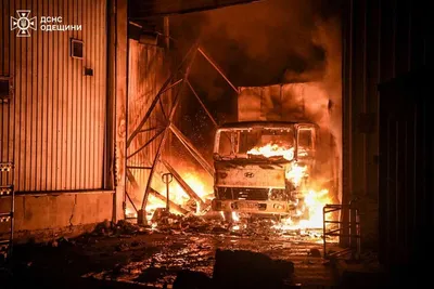 img of Russia's Economic Terrorism in the Black Sea: An Attack on Global South Food Security