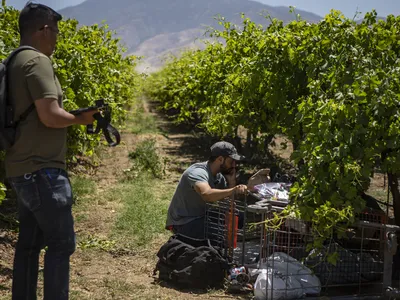 img of California's Converging Crises: Technology, Justice and Human Dignity at Crossroads
