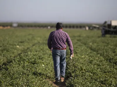 img of The Human and Economic Devastation of Anti-Immigrant Policies in America's Heartland