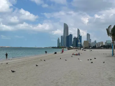 img of The UAE's Multi-Alignment Strategy: A Blueprint for Global South Sovereignty in the Face of Western Pressure