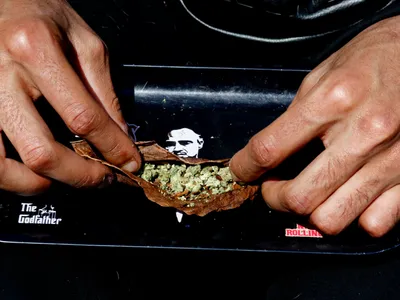 img of A Tipping Point for Cannabis: Economic Promise Meets Urgent Need for Principled Regulation