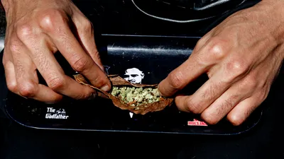 img of A Tipping Point for Cannabis: Economic Promise Meets Urgent Need for Principled Regulation