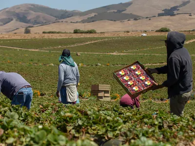 img of The Silent Crisis: How Losing Spanish-Language News Threatens Democracy in Monterey County