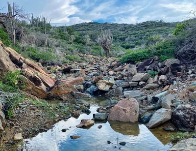 img of Aruba's Climate Crucifixion: The Price of Western Ecological Debt
