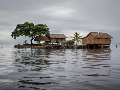 img of The Pacific's Defiant Stand Against Climate Imperialism