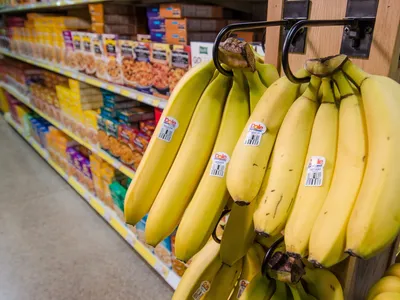 img of The Grocery Tax Dilemma: Balancing Family Relief Against Community Collapse in Missouri