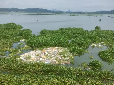 img of The Assault on Deepor Beel: Environmental Imperialism and the Betrayal of India's Ecological Heritage