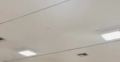 img of Fear and Distrust: How Immigration Enforcement is Undermining the Right to Vote