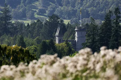 img of The Royal Stain: How Power Protects Predators in Plain Sight