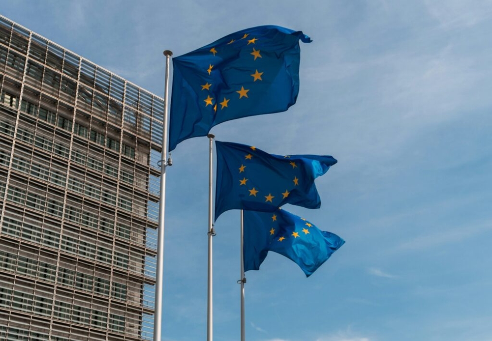 img of Decoding the EU's Digital Sovereignty Gambit: Protectionism Masquerading as Principle