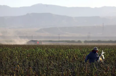 img of The Assault on Farmworkers: How New Wage Guidelines Threaten American Labor Standards