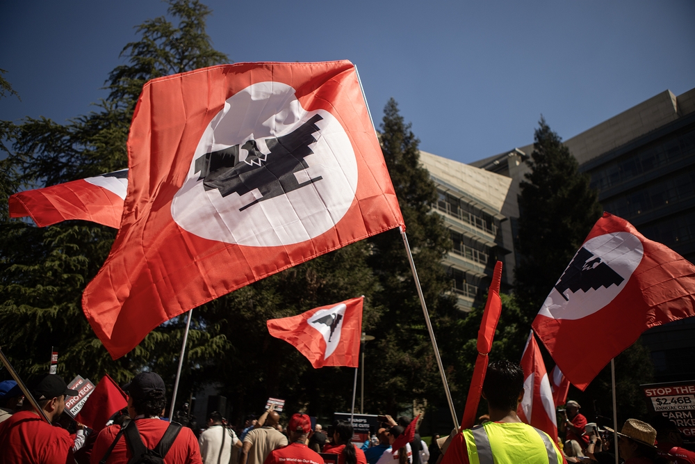 img of The Assault on Farmworker Wages: How the Trump Administration's H-2A Policy Undermines American Labor Standards