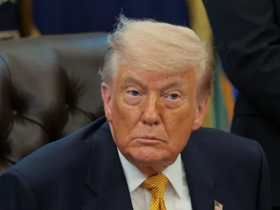 img of A Judicial Firewall: The Court's Block on Global Tariffs and the Defense of Constitutional Order