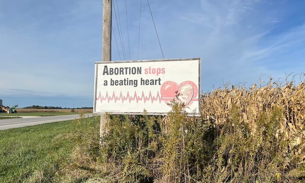 img of The Great Betrayal: How Public Funds for the Poor Are Being Diverted to Fund Deception