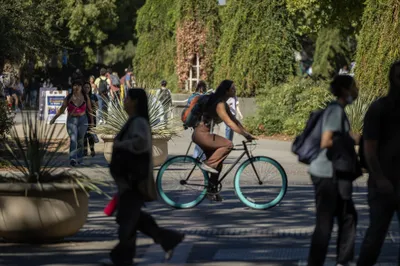 img of The Auction of American Dreams: How College Admissions Betrays Our Promise of Equal Opportunity