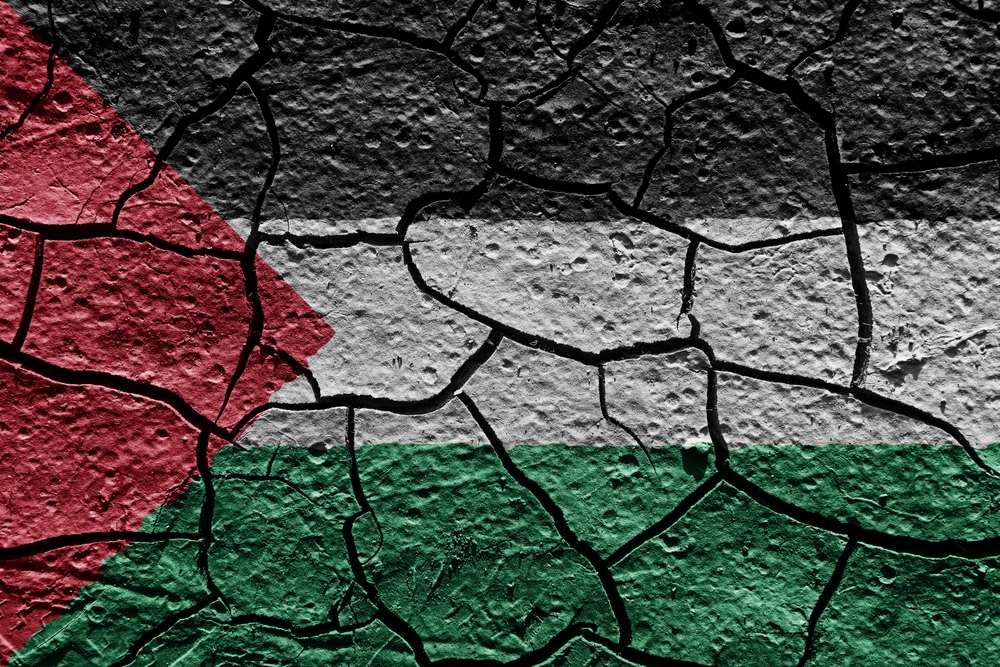 img of Gaza's Fragile Peace: Ecological Collapse Threatens Beyond Politics