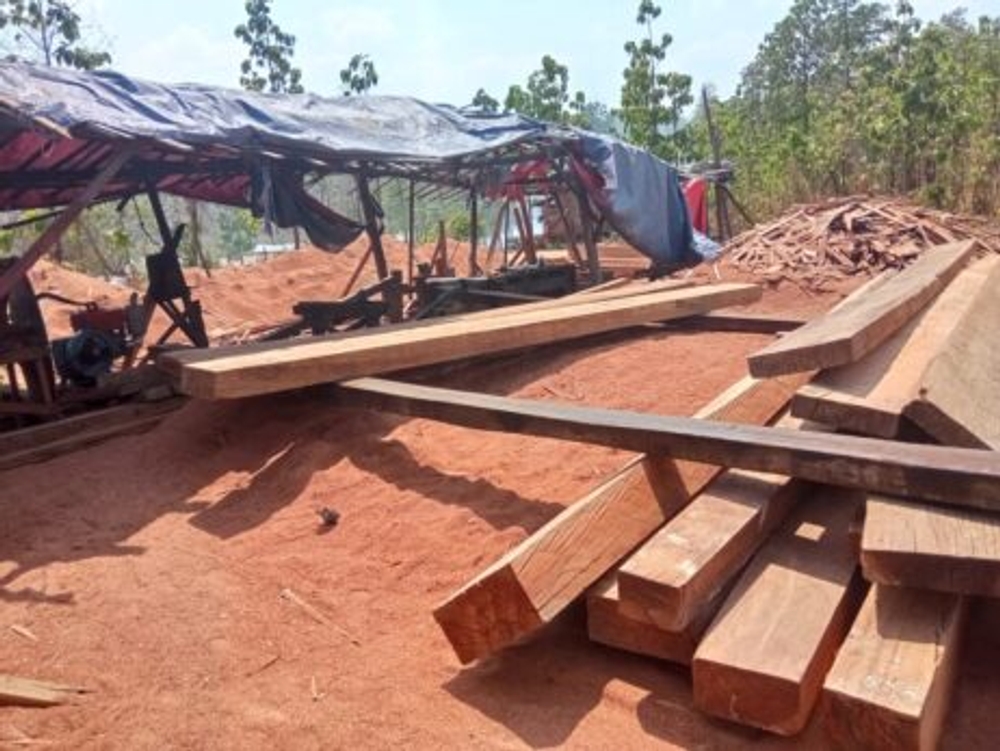 img of The Silent Plunder: How $40 Million in Timber Smuggling Perpetuates Neo-Colonial Exploitation Between Myanmar and India