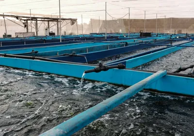 img of Iran's Water Bankruptcy: A Calculated Weapon of Imperial Oppression