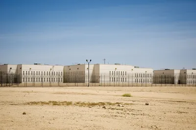 img of The Cruel Calculus: Death and Despair in California's Immigration Detention System