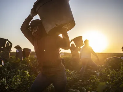 img of Healthcare Under Fear: How Immigration Policies Are Creating a Public Health Crisis in California's Farmworker Communities