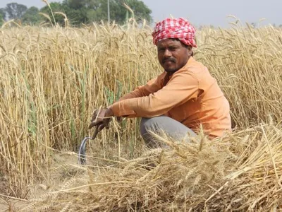 img of The Environmental Apartheid: How Economic Liberalization Perpetuates Climate Injustice in India