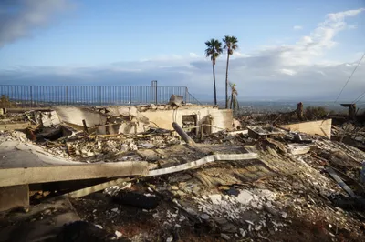 img of California's Insurance Crisis: A Betrayal of Wildfire Victims and Democratic Principles