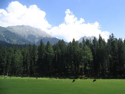img of The Sindoor Mirage: How Security-Centric Governance Perpetuates Conflict in Kashmir