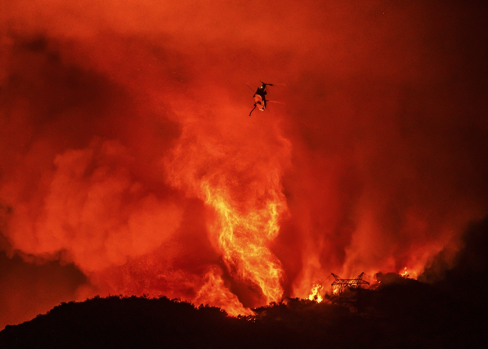 img of The Great Betrayal: How Politicians Are Sacrificing California Communities to Timber Interests