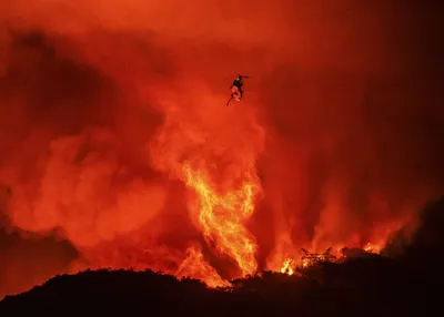 img of The Great Betrayal: How Politicians Are Sacrificing California Communities to Timber Interests