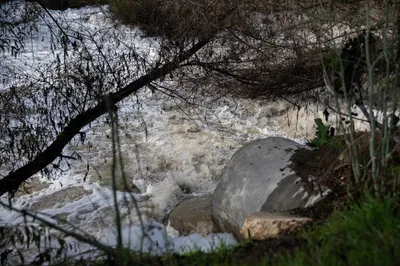 img of The Tijuana River Crisis: A Betrayal of Public Health and American Communities on the Border