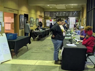 img of A Calculated Betrayal: How Canceling an Election Undermines Democracy in Louisiana