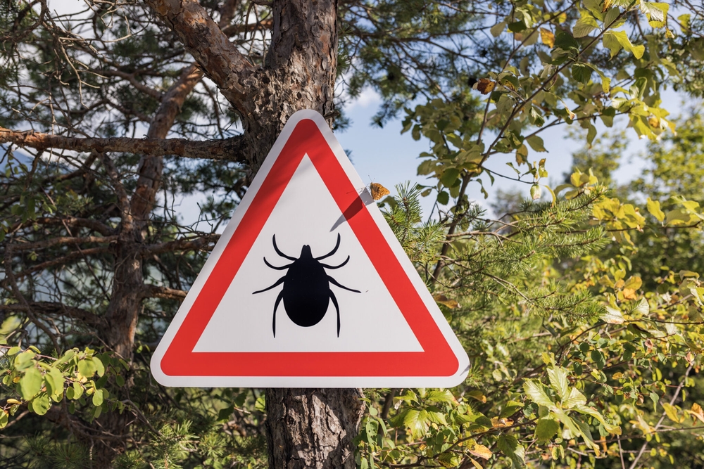 img of The Silent Epidemic: Lyme Disease's Alarming Expansion Into Nevada Demands Immediate Action