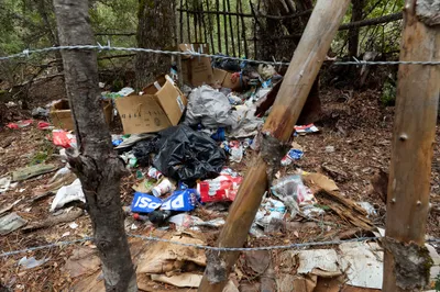 img of The Silent Crisis: How Illegal Cannabis Grows Are Poisoning California's Public Lands