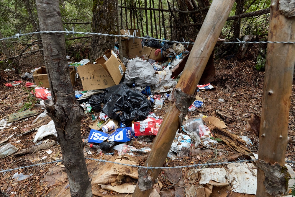 img of The Silent Crisis: How Illegal Cannabis Grows Are Poisoning California's Public Lands