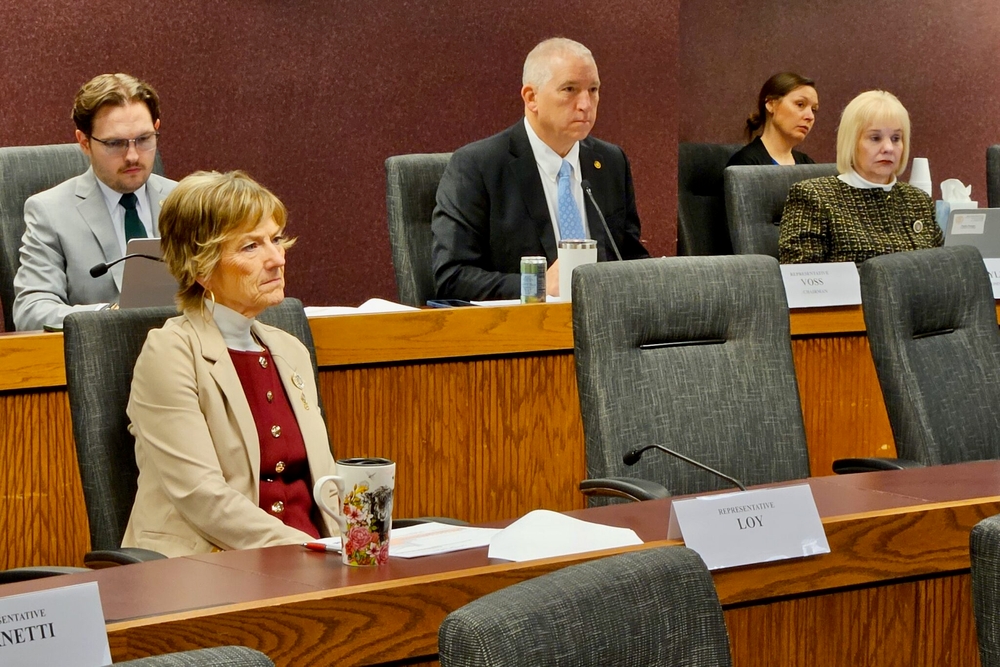 img of Missouri's MOVERS Debacle: A Case Study in Government Technology Failures and Accountability Crisis