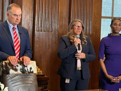img of Missouri's Landmark Divorce Law: A Victory for Survivor Autonomy