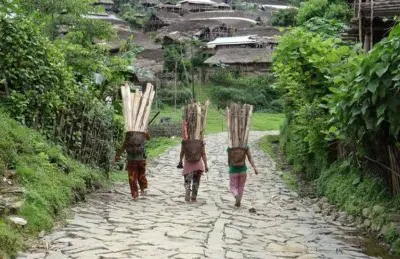 img of Nagaland's Bold Stand Against Colonial-Era Travel Restrictions: A Watershed Moment for India's Development Sovereignty