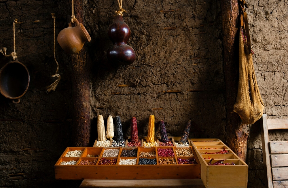 img of The Agricultural Imperative: How Western Protectionism Threatens Global Food Security While the Global South Forges Ahead