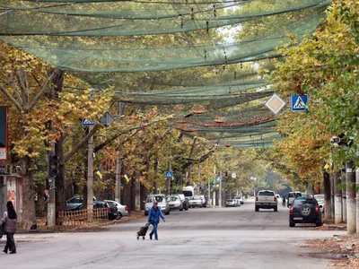 img of Russia's Human Safari: The Drone Terror Unleashed on Kherson's Civilians