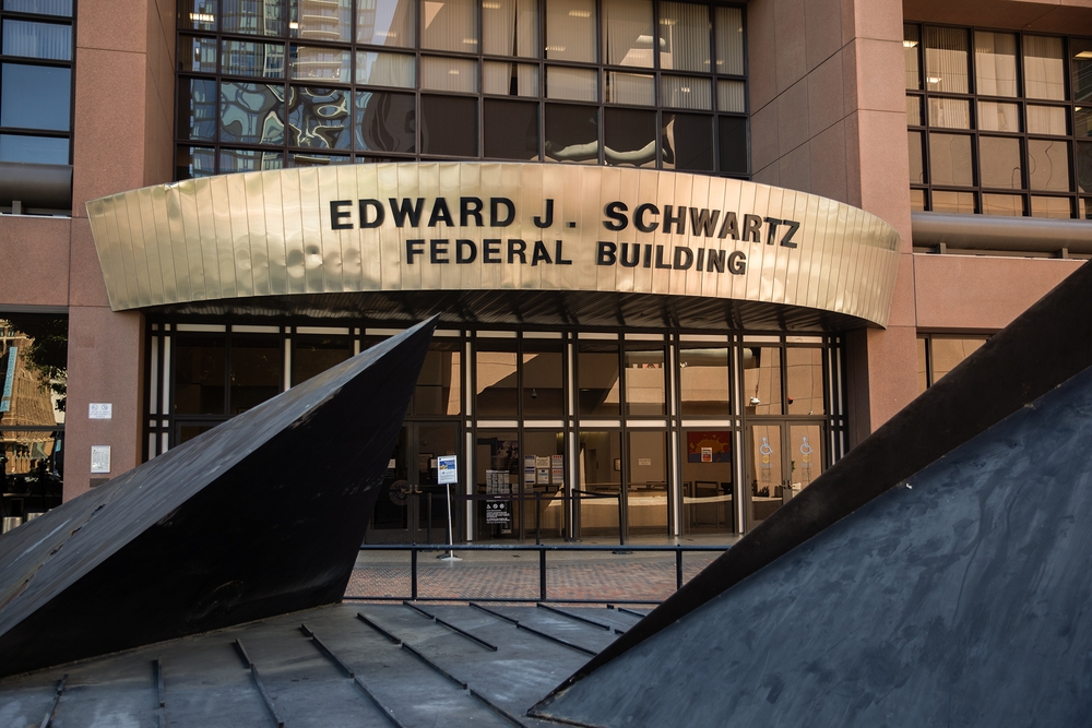 img of The Erosion of Due Process: How ICE Check-In Arrests Threaten American Values and Human Dignity