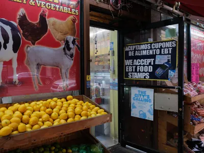 img of Judicial Intervention Saves Food Stamp Program: A Necessary Check on Executive Overreach