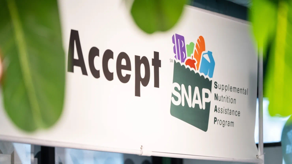 img of The Politics of Hunger: How SNAP Benefits Became a Bargaining Chip in America's Democratic Crisis