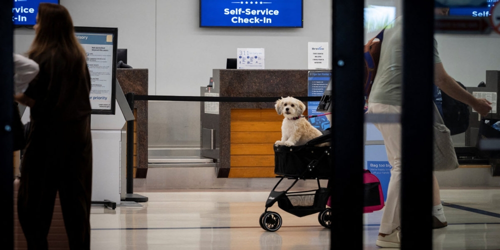 img of The Politicization of Public Space: The $5.5 Million Renaming of a Florida Airport