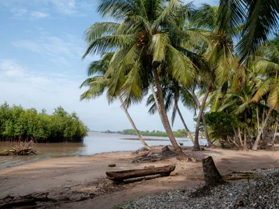 img of The Southern Advance: How Governance Failures and Neo-Colonial Legacies Are Fueling West Africa's Expanding Insurgency