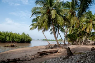 img of The Southern Advance: How Governance Failures and Neo-Colonial Legacies Are Fueling West Africa's Expanding Insurgency