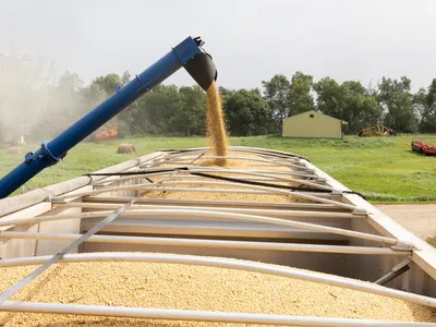 img of Trade Truce Brings Temporary Relief to American Farmers, But at What Cost?